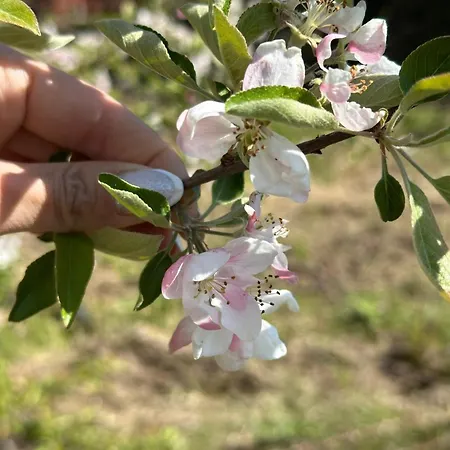 Campsite виктори Victory *